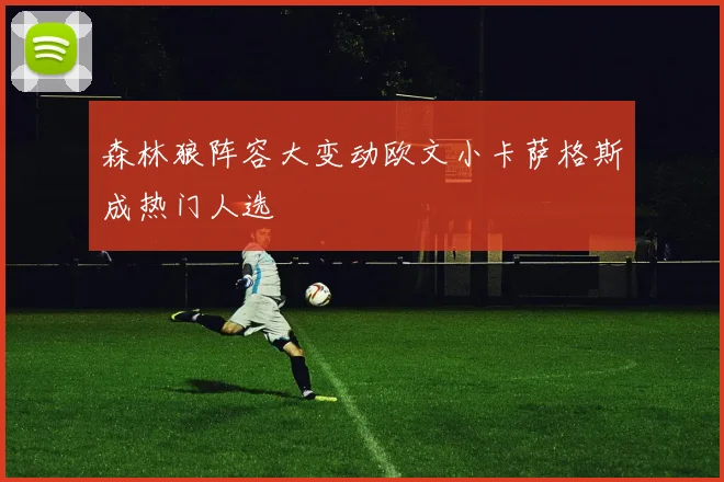 森林狼阵容大变动欧文小卡萨格斯成热门人选