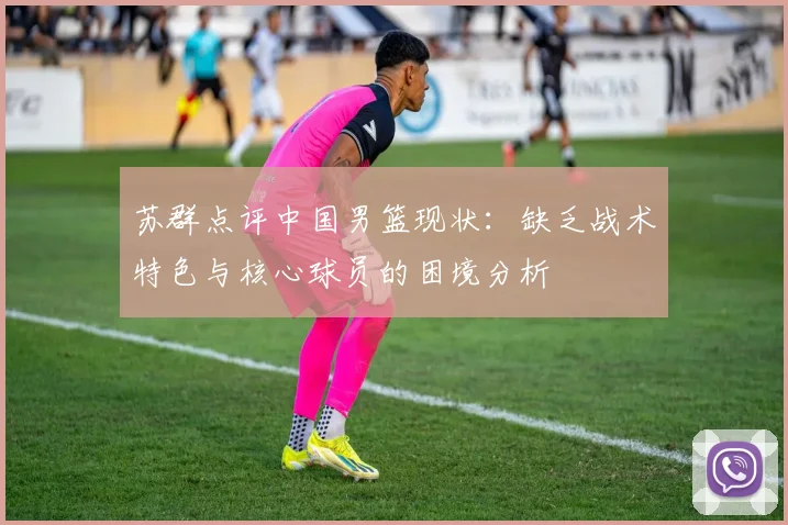 苏群点评中国男篮现状：缺乏战术特色与核心球员的困境分析