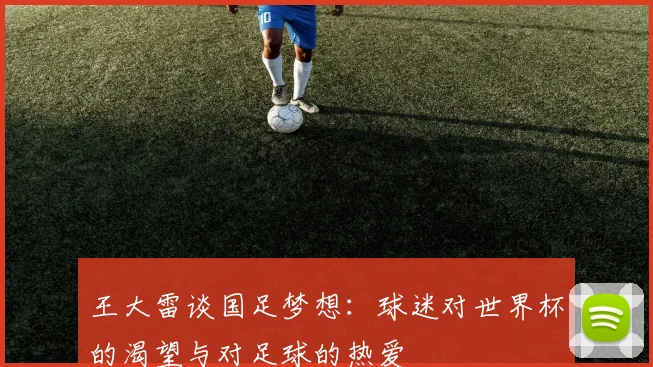 王大雷谈国足梦想：球迷对世界杯的渴望与对足球的热爱